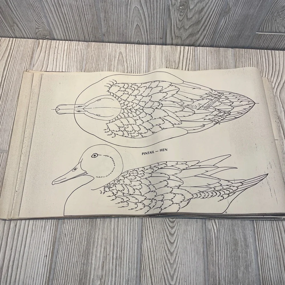 Belleville Area Holzschnitzers Duck Decoy Carving Patterns Lot of 22 Waterfowl
